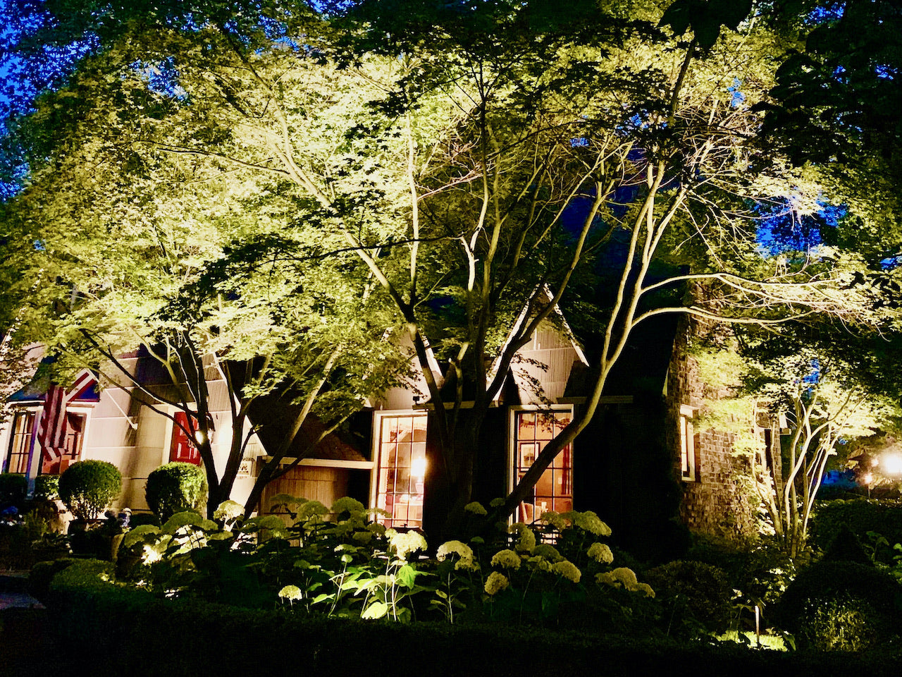 How to properly highlight trees