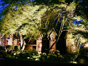 How to properly highlight trees