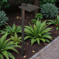 Load image into Gallery viewer, LEVEL 2-PACK Path Landscape Light
