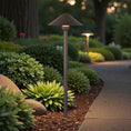 Load image into Gallery viewer, Conical 2-PACK Path Landscape Light
