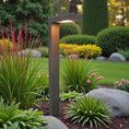 Load image into Gallery viewer, EDGE 2-PACK Path Landscape Light
